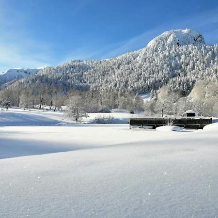 Chalet Des Cascades Le Mont-Dore Bagian luar foto
