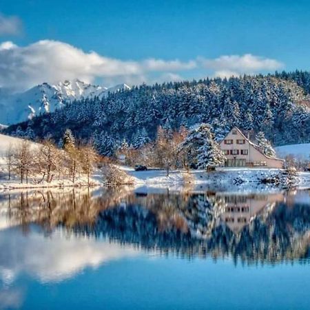 Chalet Des Cascades Le Mont-Dore Bagian luar foto