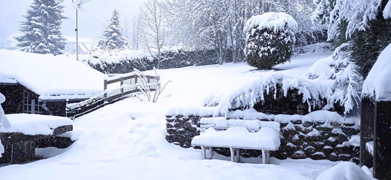 Chalet Des Cascades Le Mont-Dore Bagian luar foto