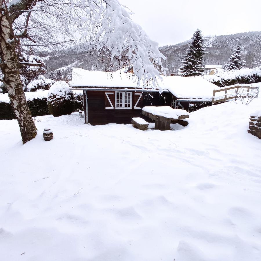 Chalet Des Cascades Le Mont-Dore Bagian luar foto