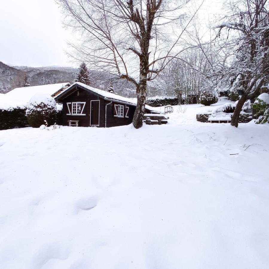 Chalet Des Cascades Le Mont-Dore Bagian luar foto