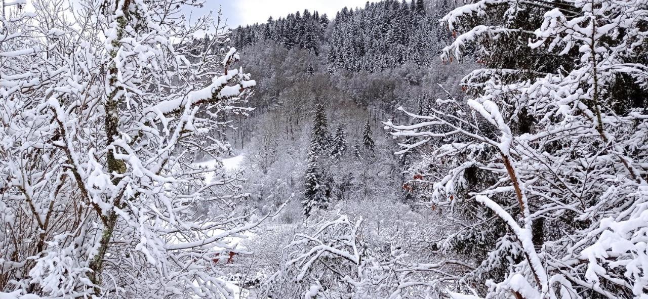 Chalet Des Cascades Le Mont-Dore Bagian luar foto