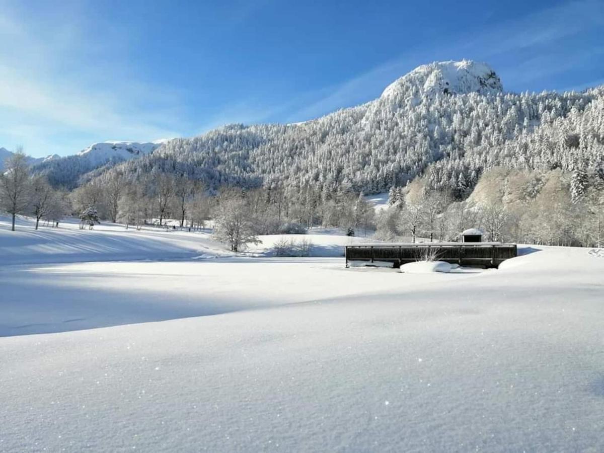Chalet Des Cascades Le Mont-Dore Bagian luar foto