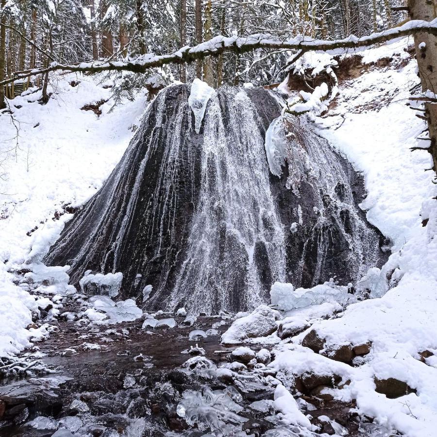 Chalet Des Cascades Le Mont-Dore Bagian luar foto